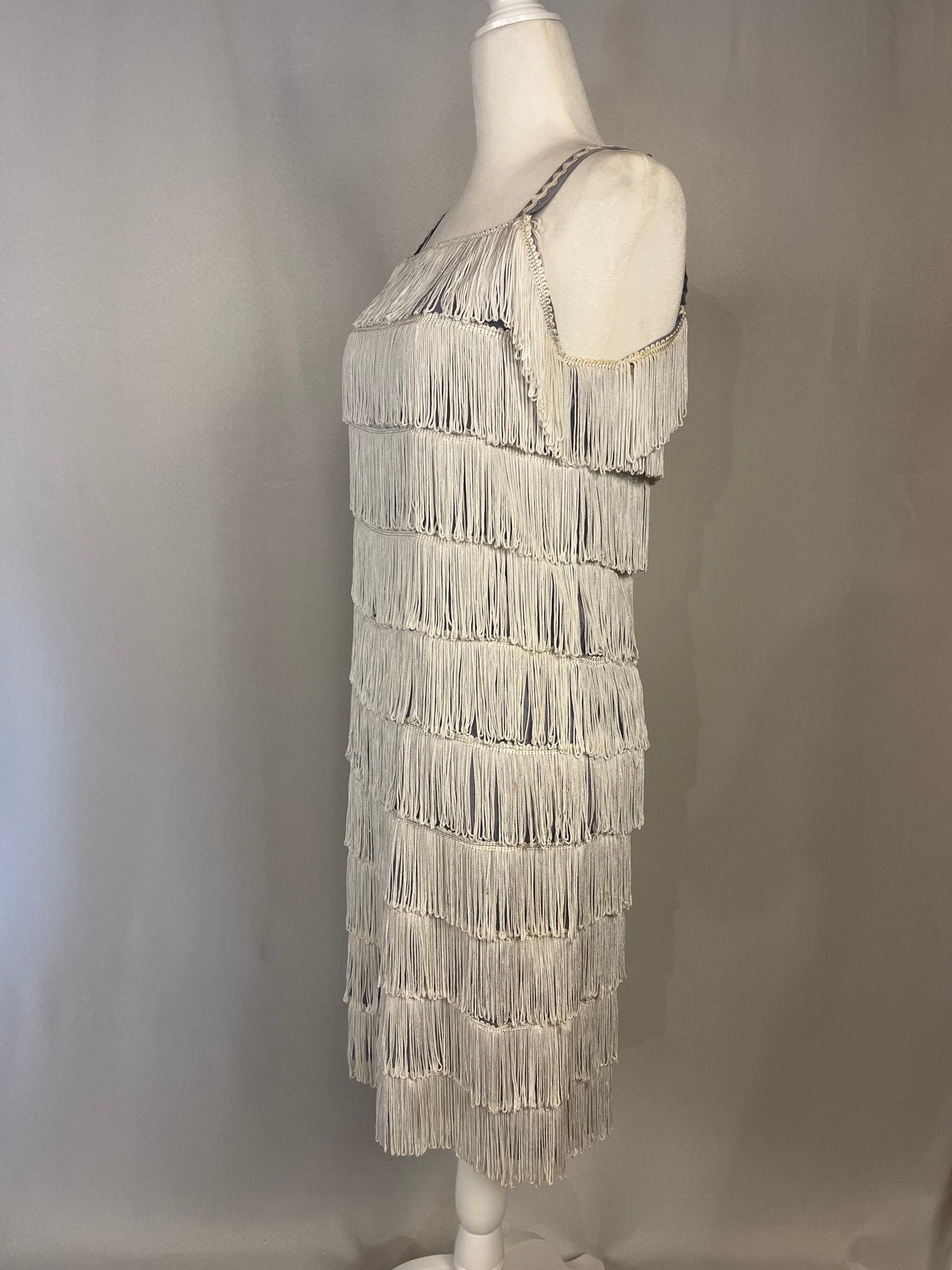 20’s Flapper Dress