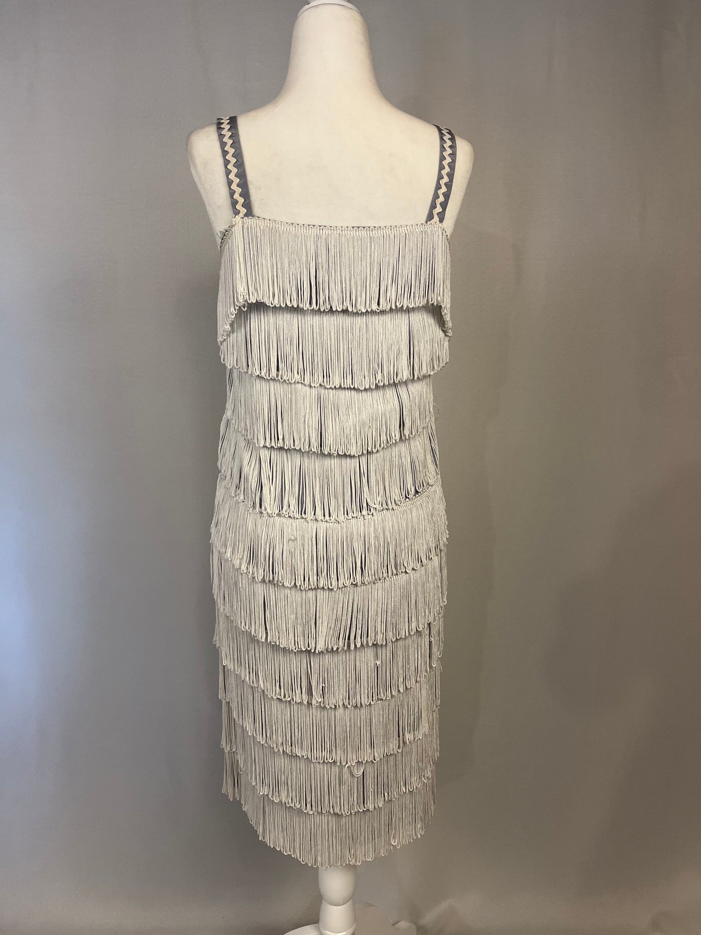 20’s Flapper Dress